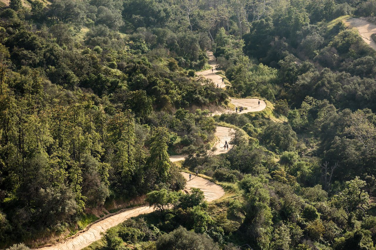 Hiking trail in Griffith Park, Los Angeles
