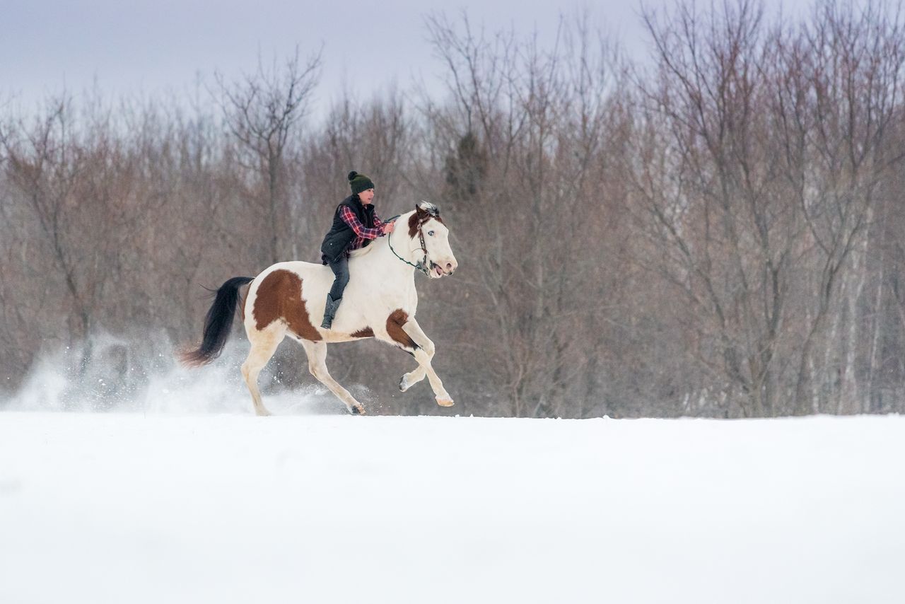 Horseback riding in the snow