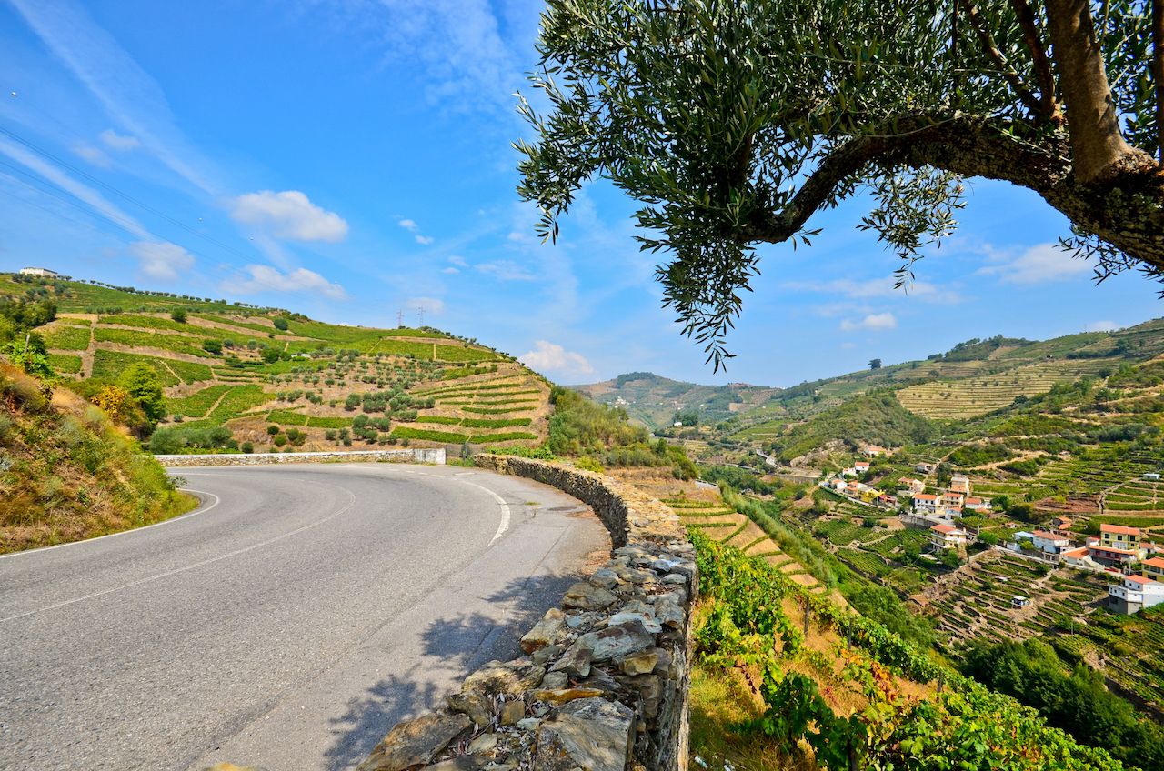 Road next to vineyards and small village near Peso da Regua, Portugal