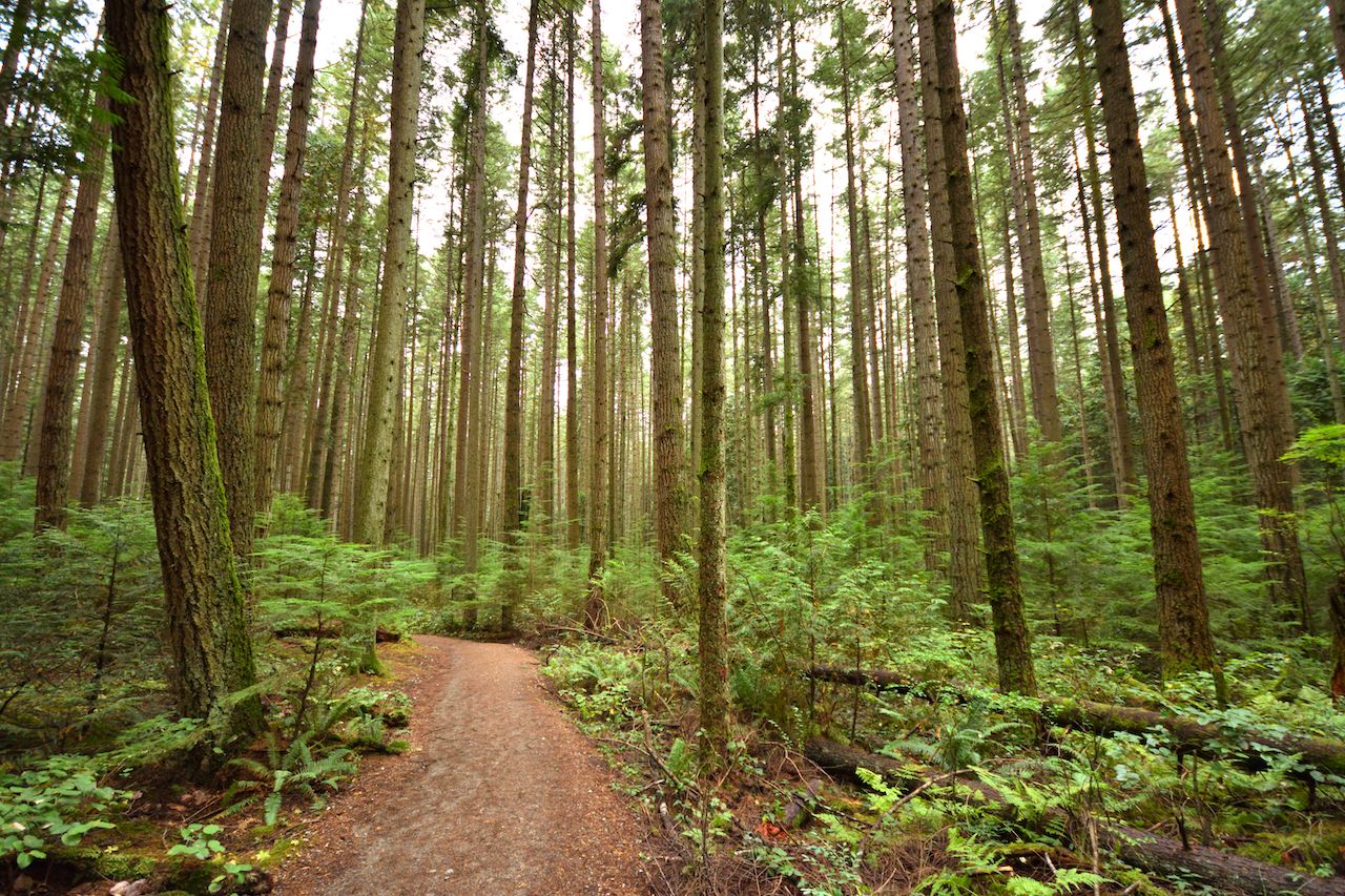 Spirit Forest Endowment Lands Vancouver