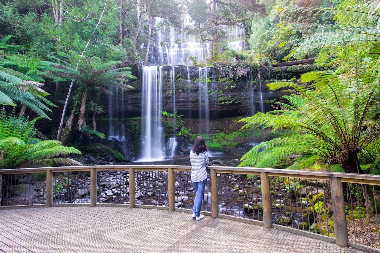 A person looking at Russell Falls in Mt Field National Park near Hobart in Tasmania, Australia