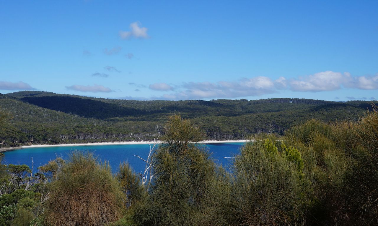 Elevated overview of Fortescue Bay beach and eucalypts forests