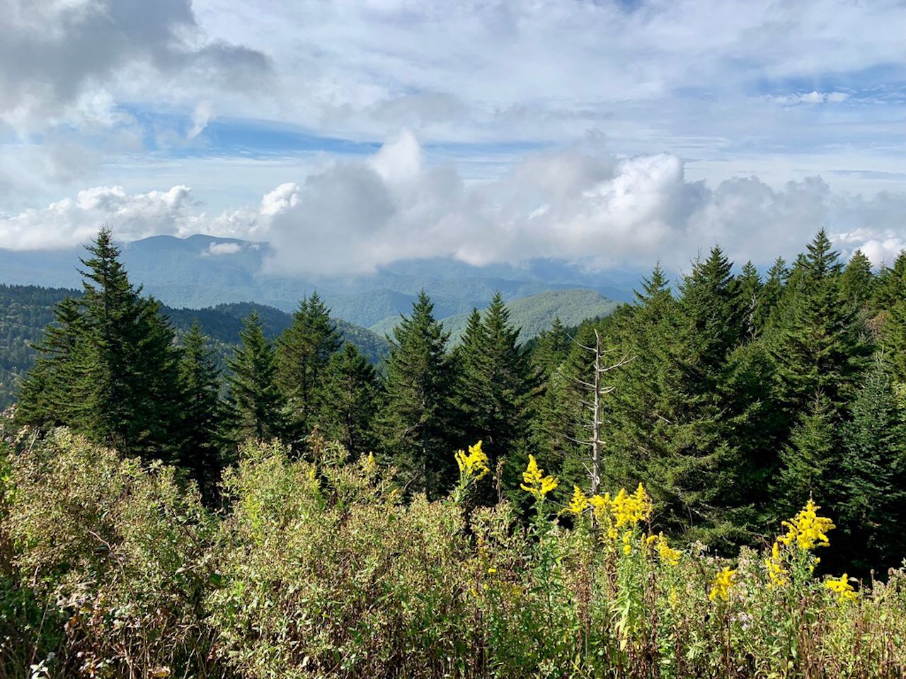 North Carolina hiking trail vista