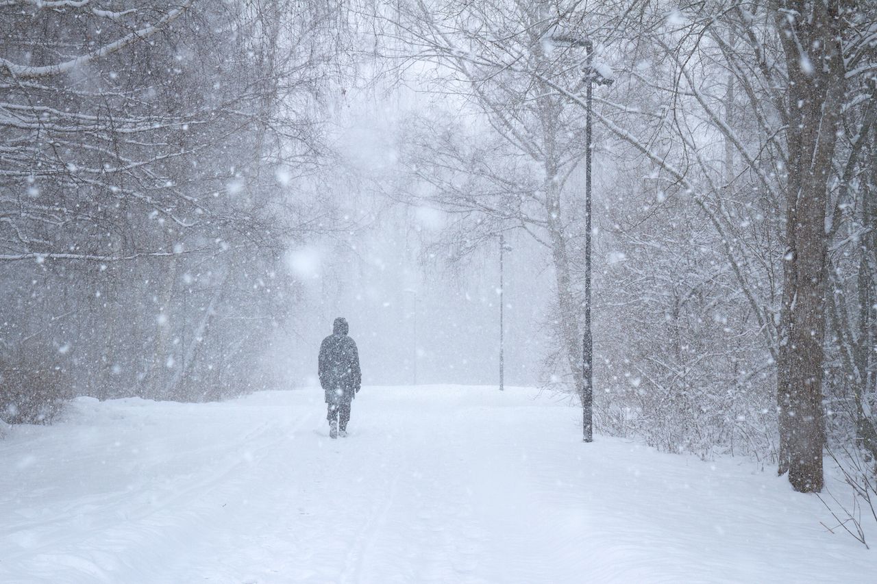 One person walking a small road through trees in a cold Swedish winter snow blizzard