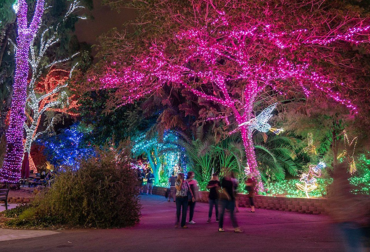 Phoenix Zoo at night with lights strung in the trees