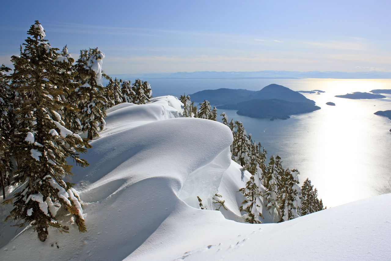 Only Five Of Vancouver Island S 170 Glaciers Remain