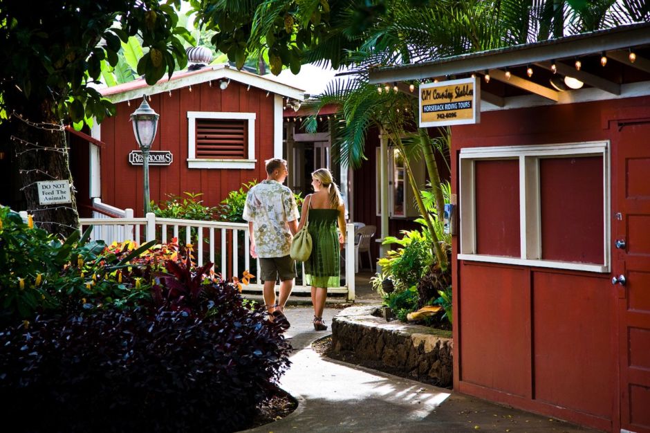 Sustainable travel guide: Kauai, Hawaii