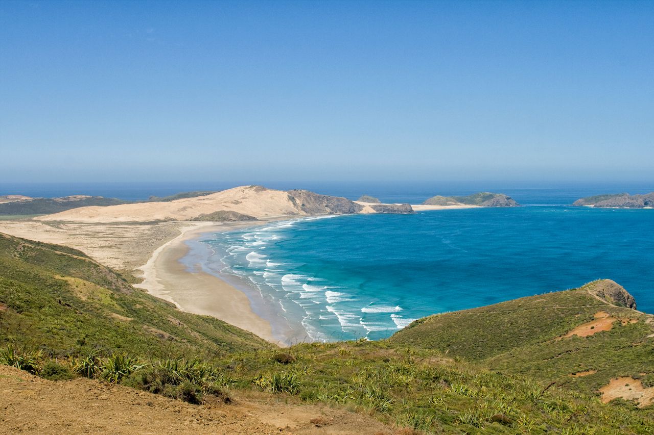 Best beaches in New Zealand - TravelAdvicor