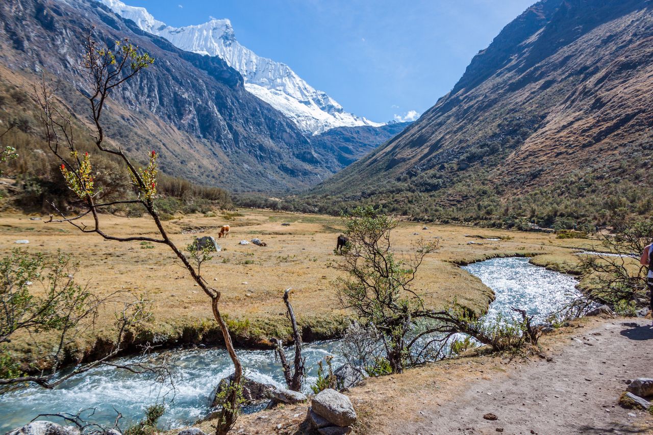 Laguna 69 trek in Peru