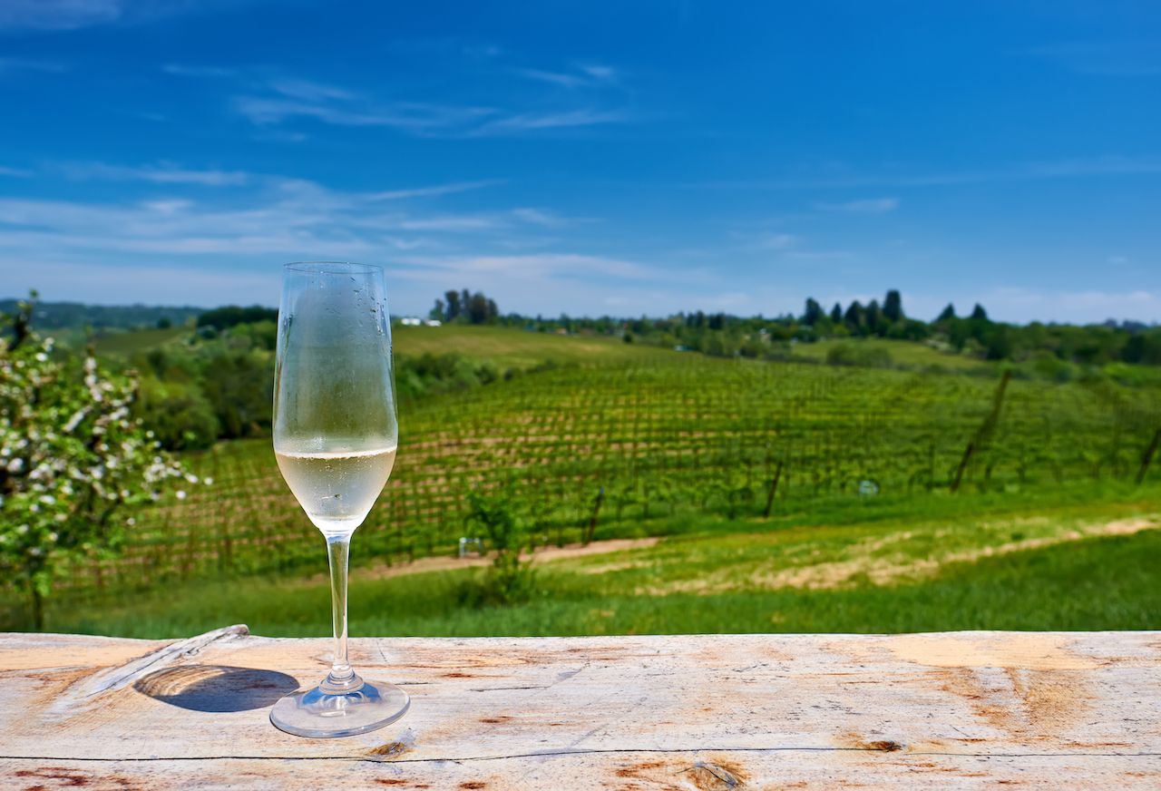 Wine glass with vineyard