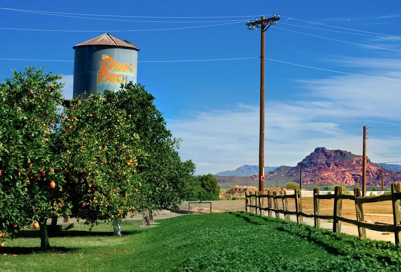 Best Things To Do In Mesa Arizona For Foodies