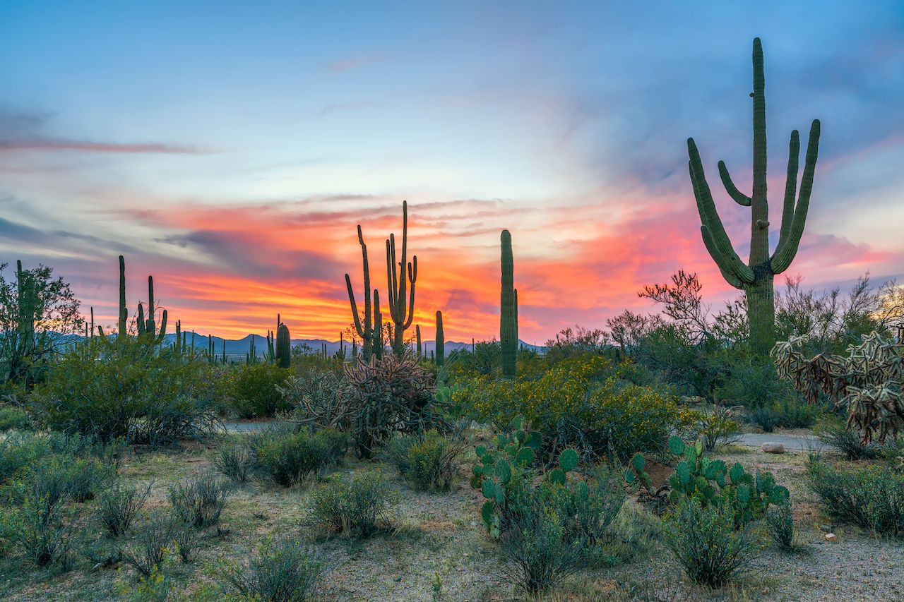 8 Natural Areas of Arizona You've Probably Never Heard Of