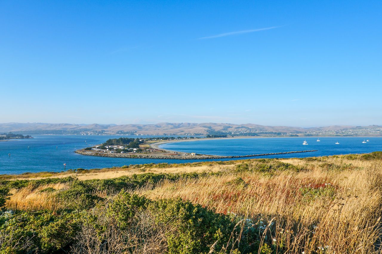 View of Bodega Bay