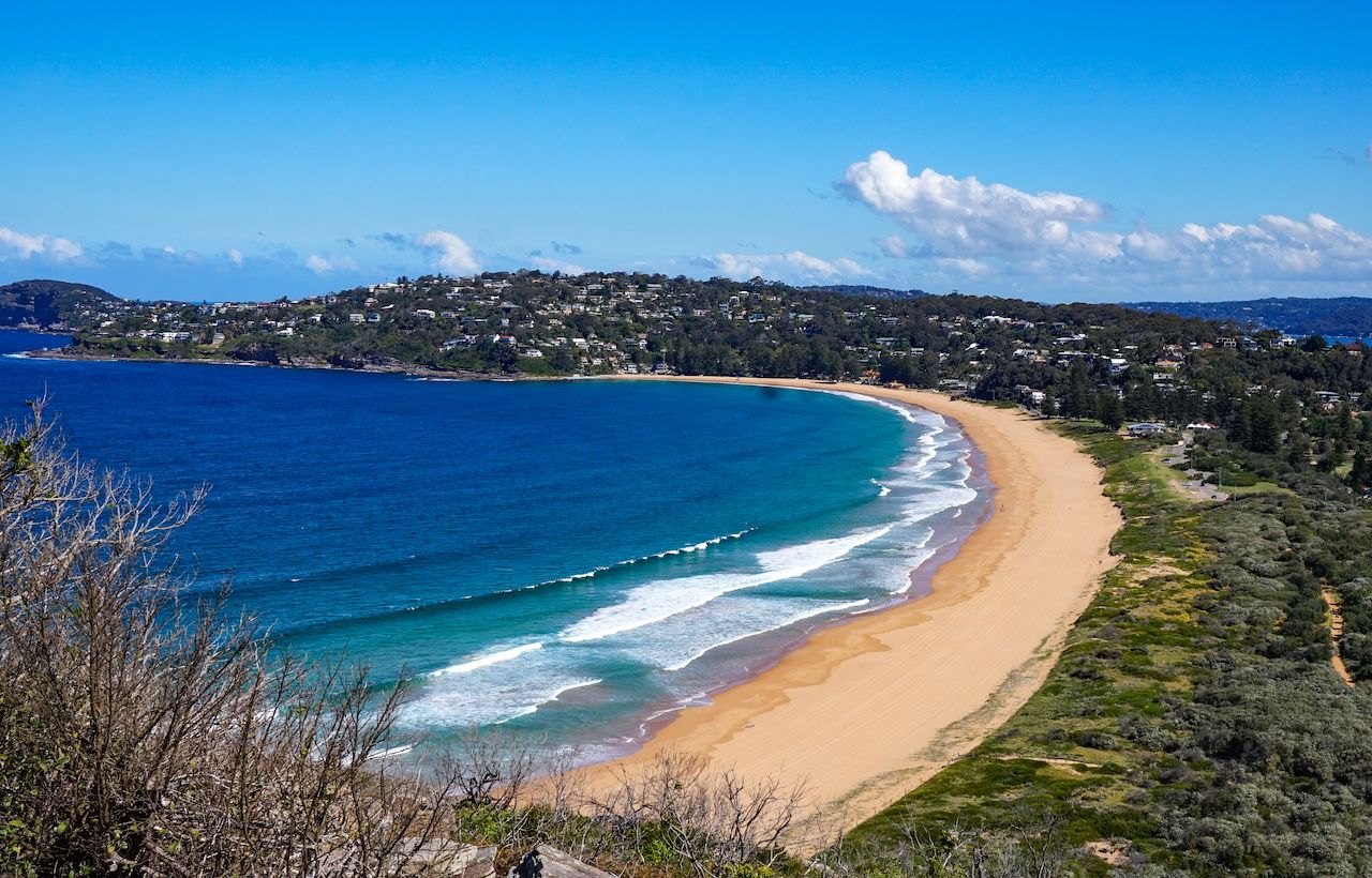 Whale Beach Sydney