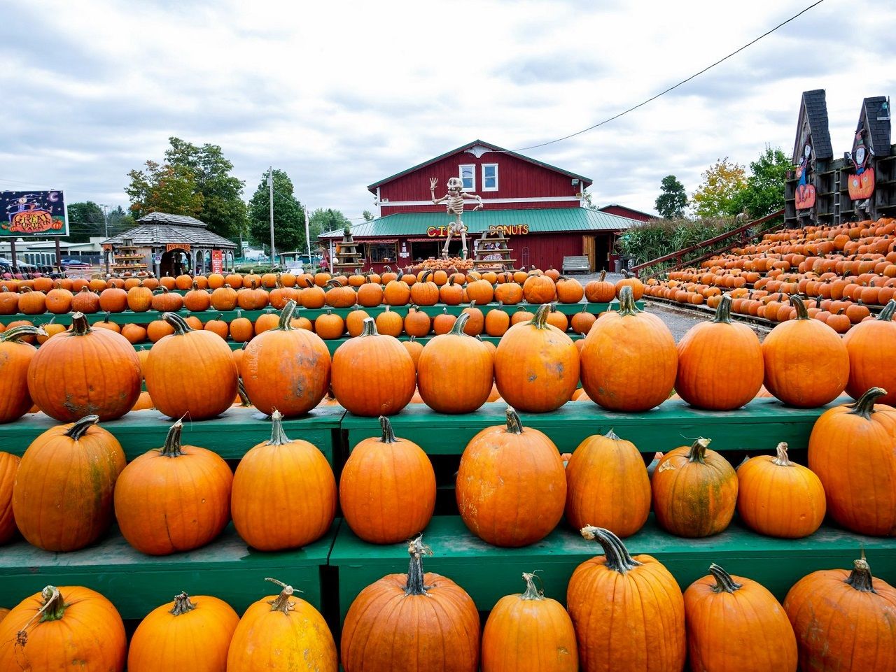 pumpkin farm Steward of design: 20 things i love about fall