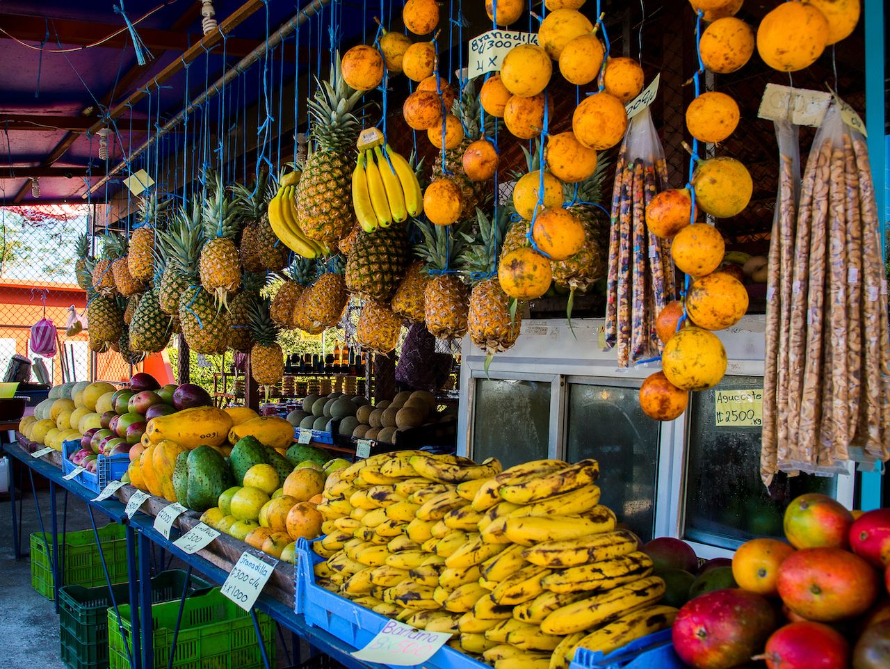 activities in costa rica - food stall 
