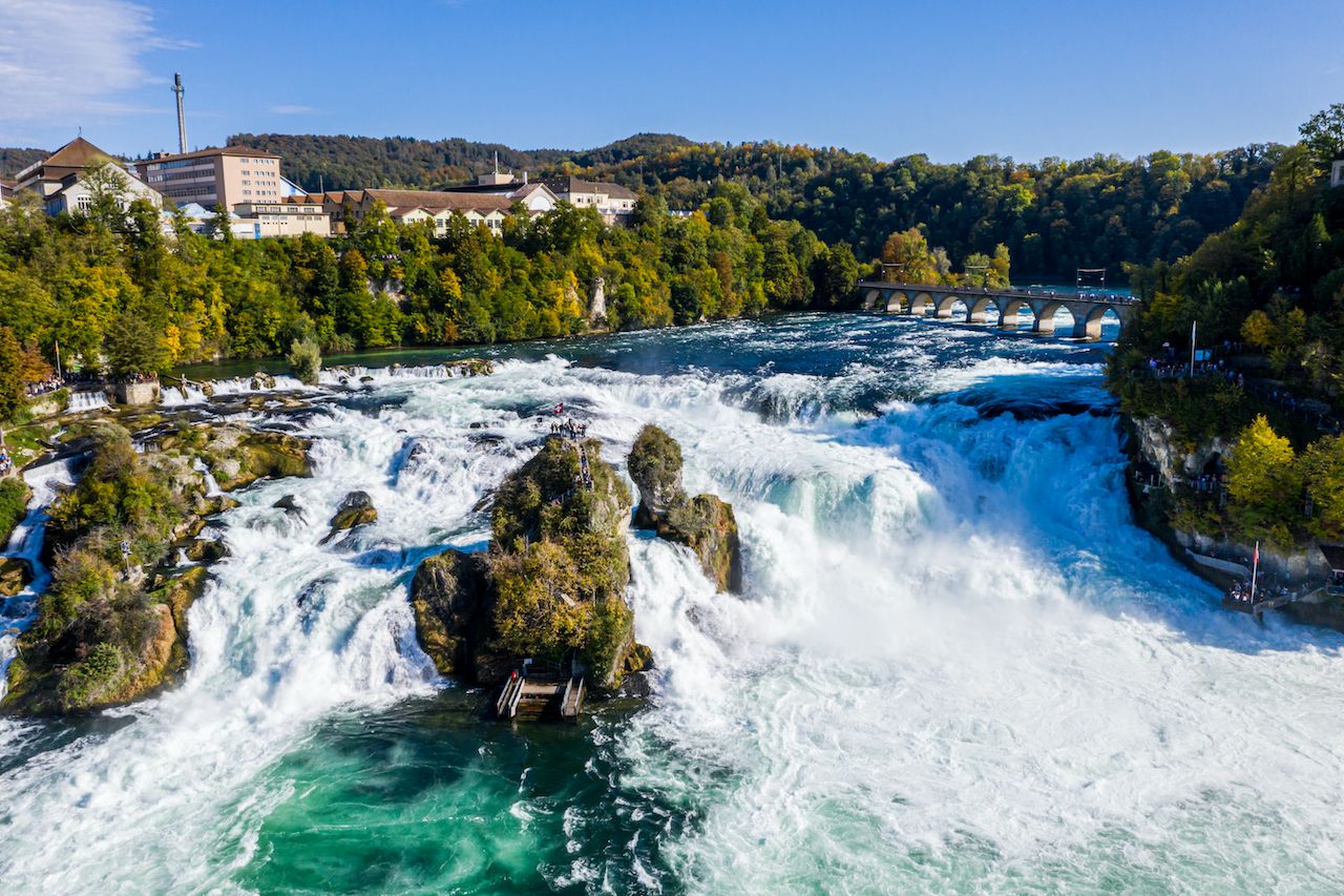 Are There Endangered Animals In Iguazu Falls Bowlin Bouthad