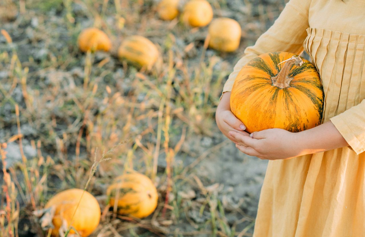 Person holding pumpkins