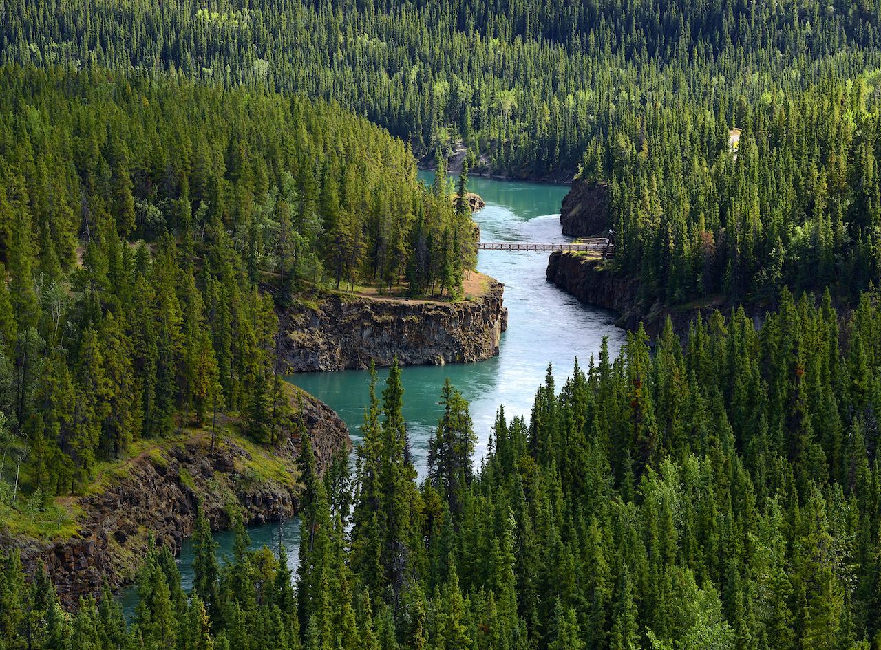 Yukon river near Whitehorse