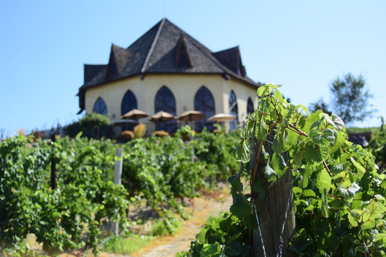 Where to go wine tasting in Idaho