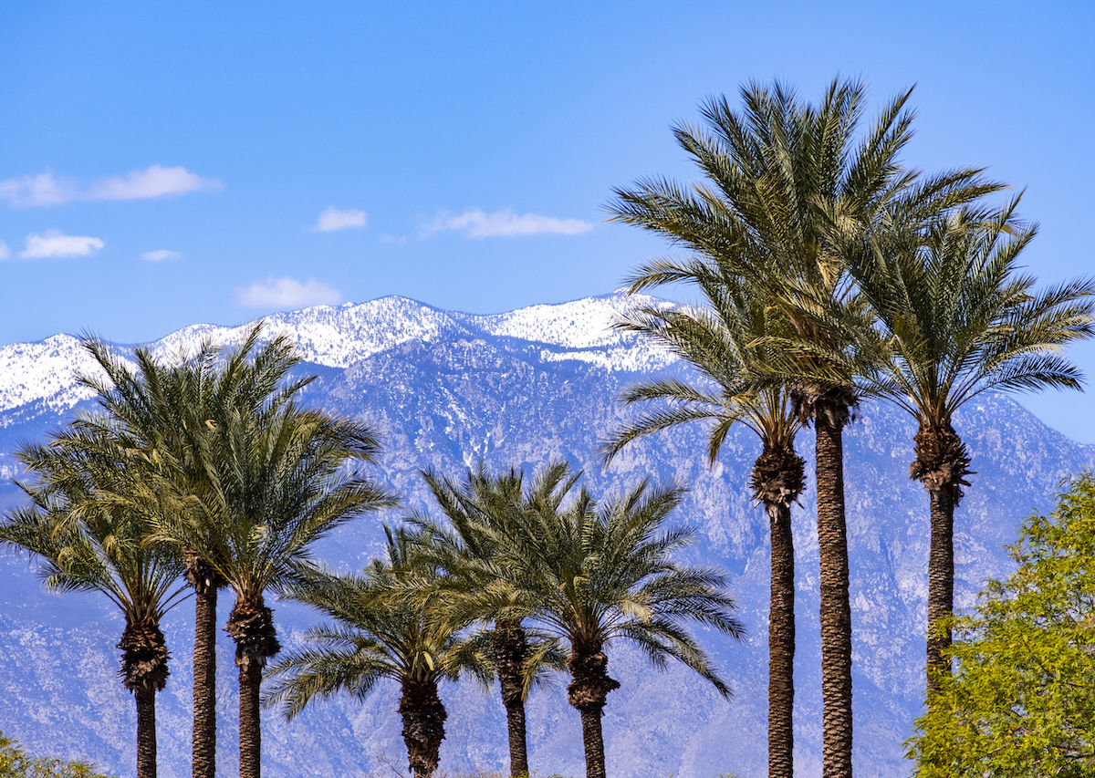 Best Palm Springs winter hikes and Palm Springs Aerial Tramway