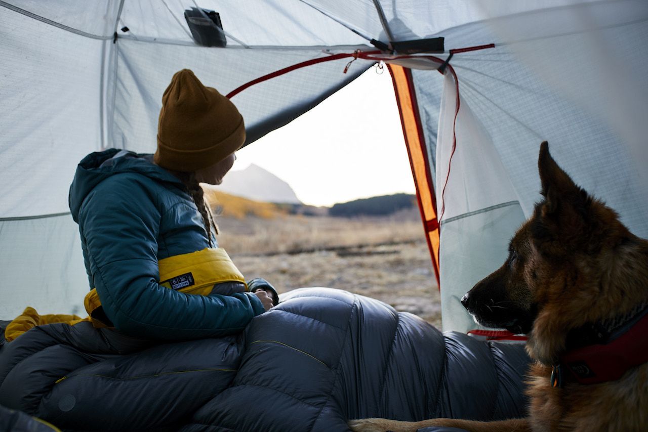 Backpacking with a dog
