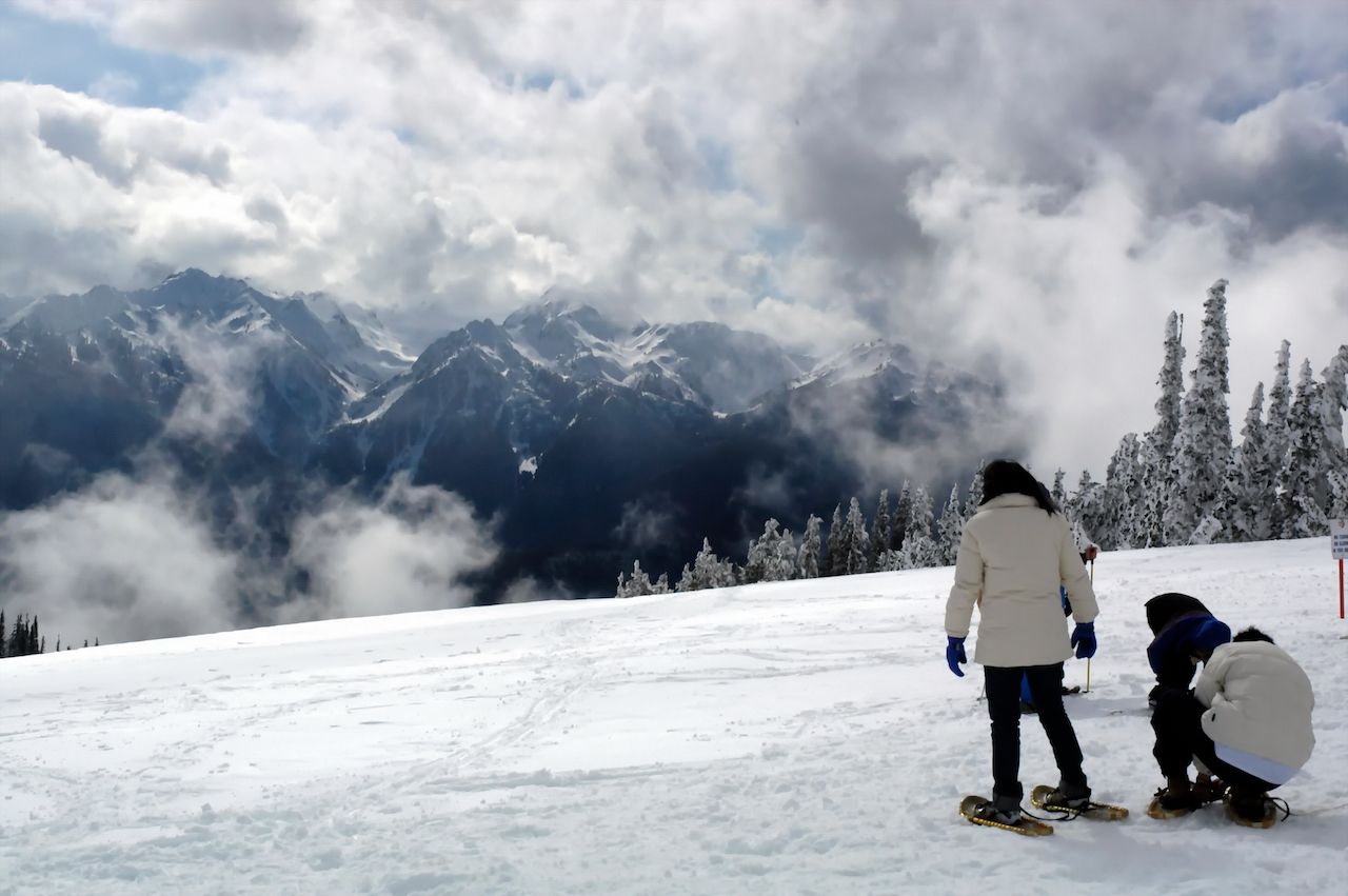 Best Places To Snowshoe And Cross Country Ski In Washington State