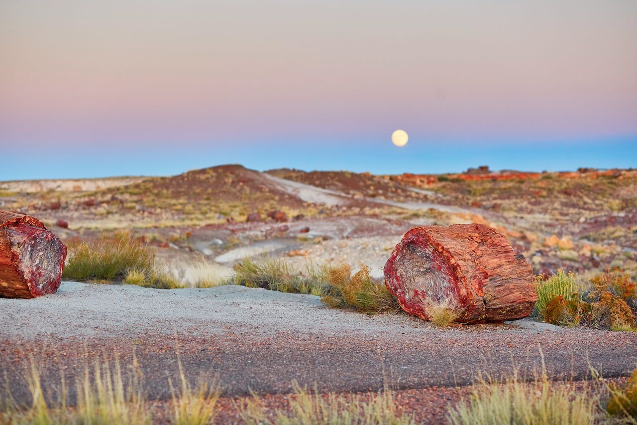 Petrified logs in the Painted desert and Petrified forest national park with full moon, Arizona, USA