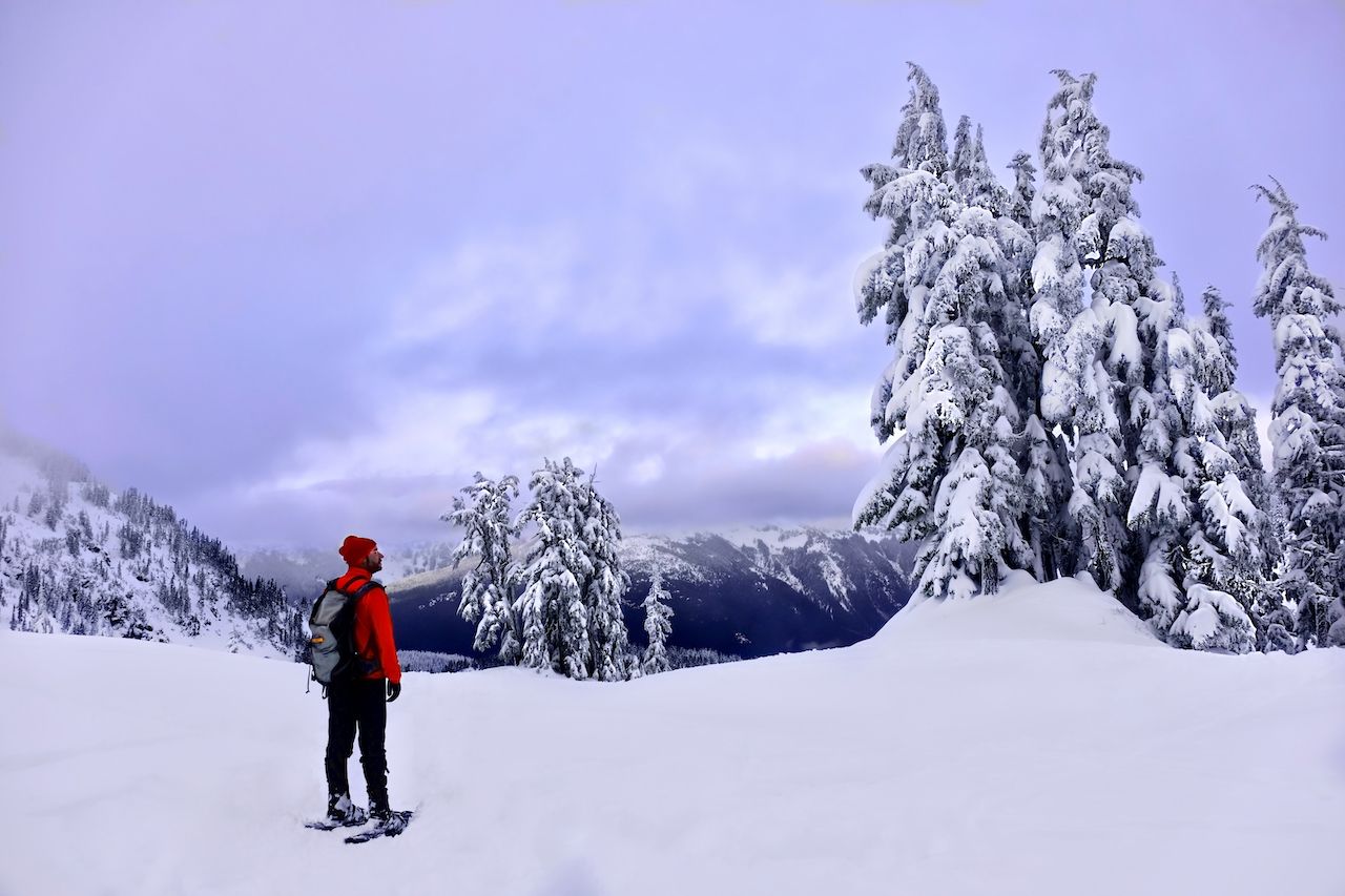 Best Places To Snowshoe And Cross Country Ski In Washington State