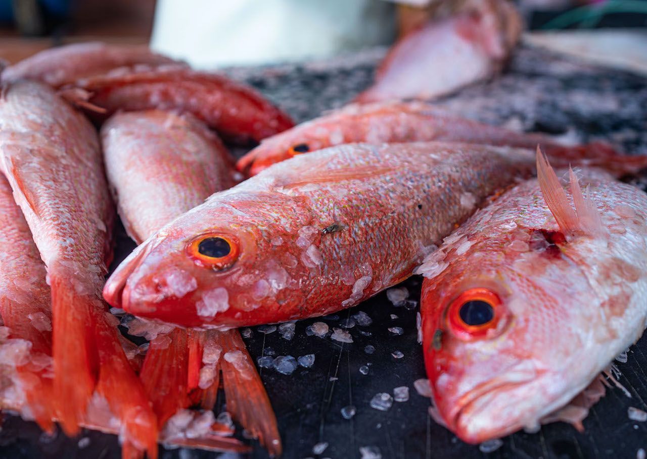 Aruba-seafood-fresh-fish
