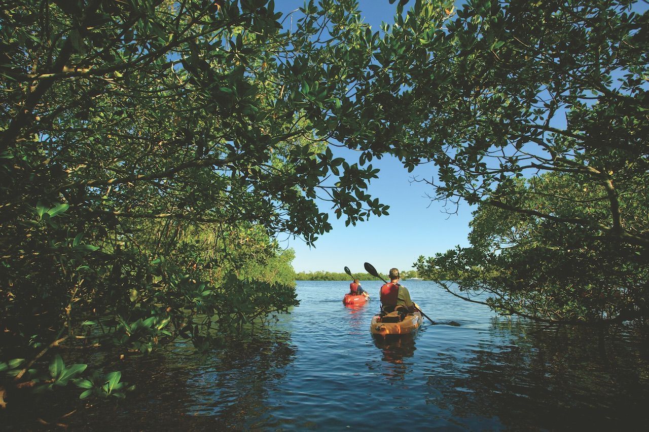 Paddling guide: Where, when, and how to kayak and SUP on The Beaches of Fort Myers & Sanibel