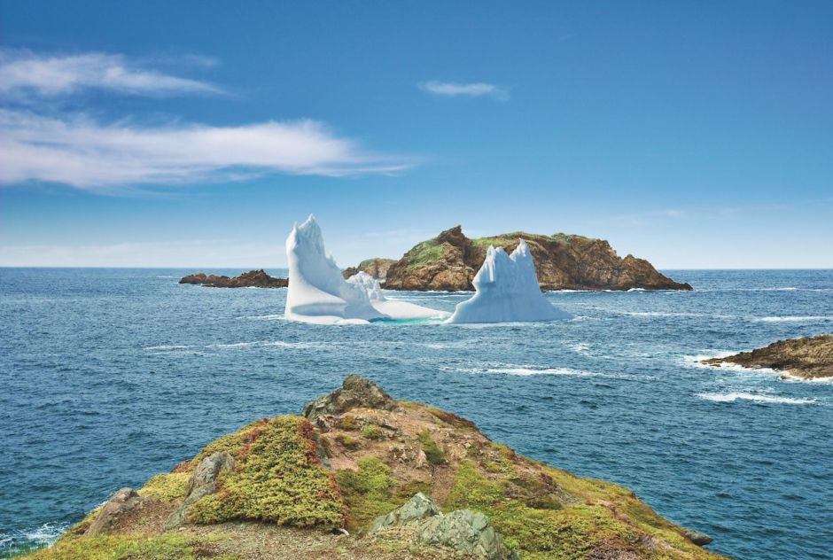 Whales, seabirds, and icebergs: Newfoundland and Labrador