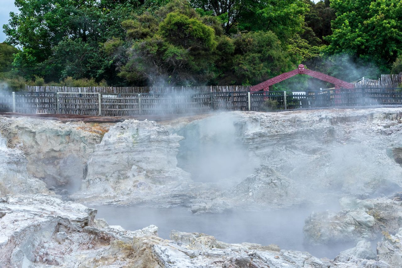 Steam rising from boiling hot geothermal pools at Hell's Gate in New Zealand