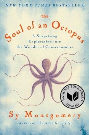 The soul of an octopus