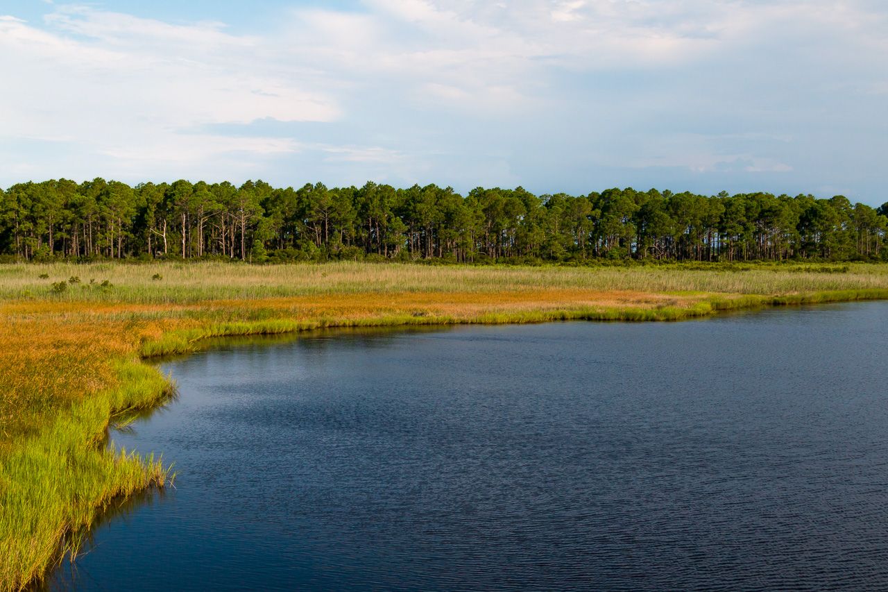 How to explore The Outer Banks of North Carolina on foot: A trail guide