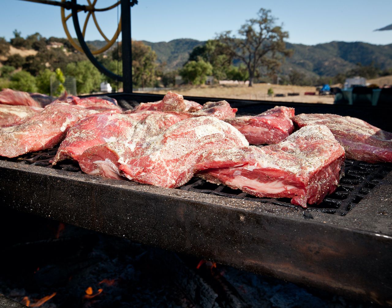 Large pieces of meat being barbecued