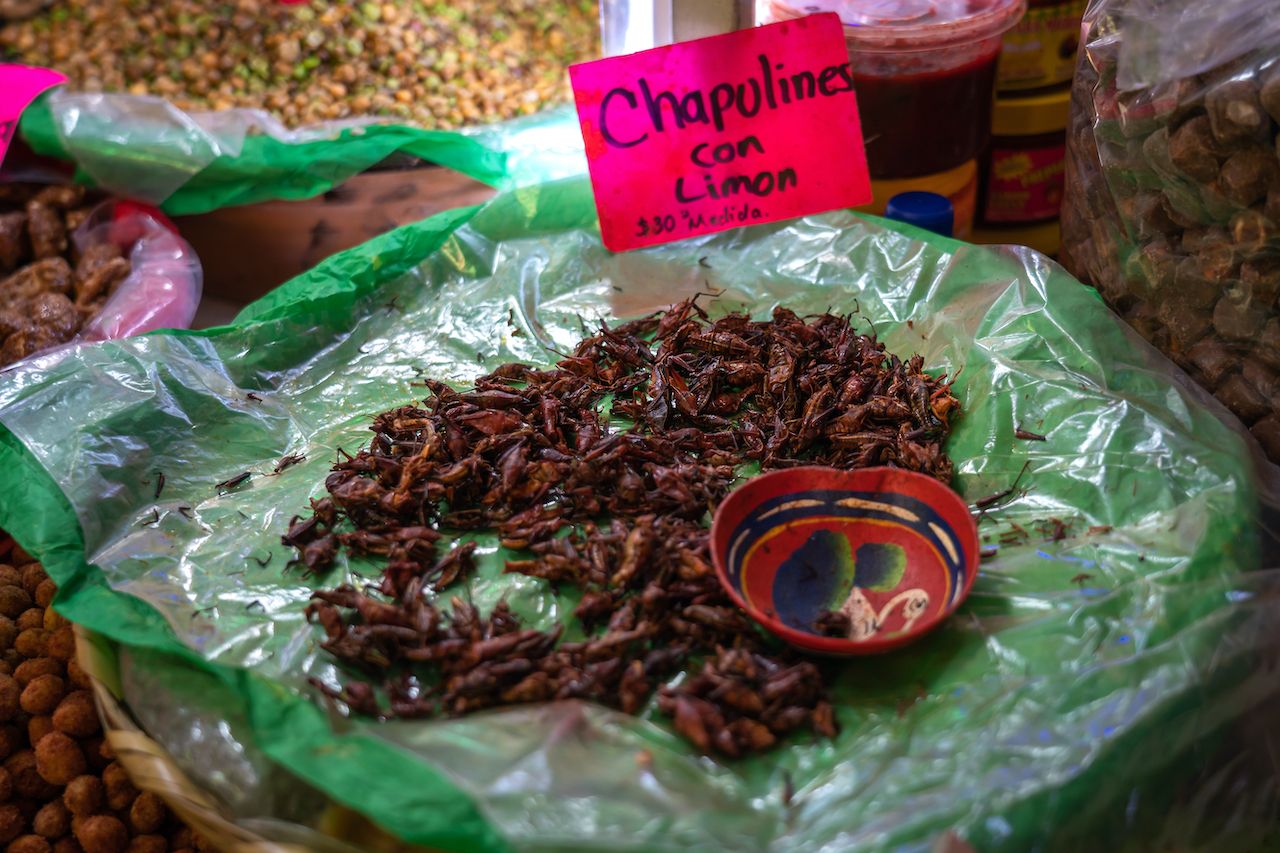 chapulines-traditional-latin-america-underrated-dishes-mexico