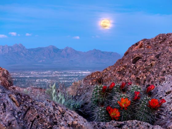 Best things to do in Las Cruces, New Mexico