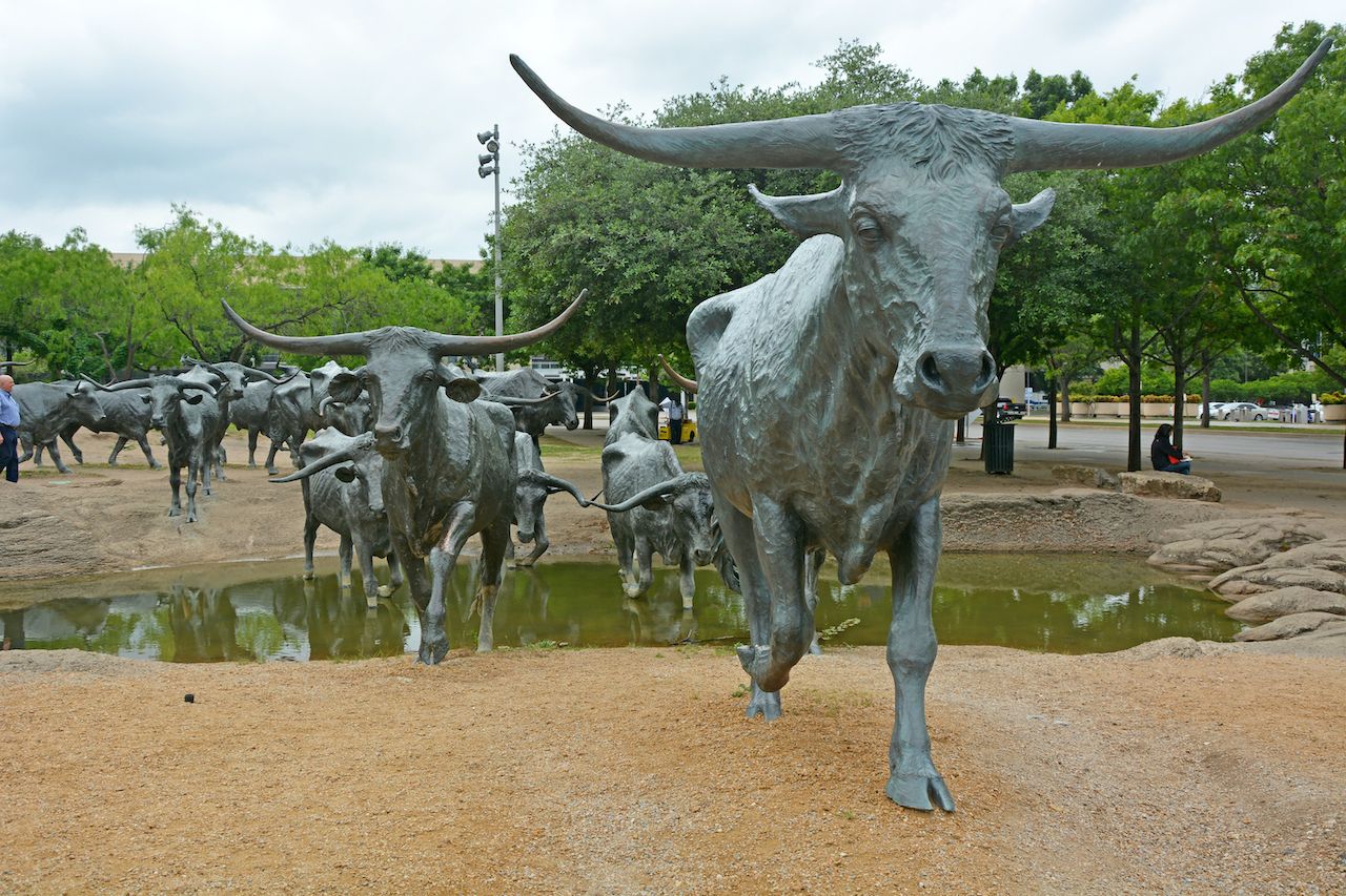 animal-statues