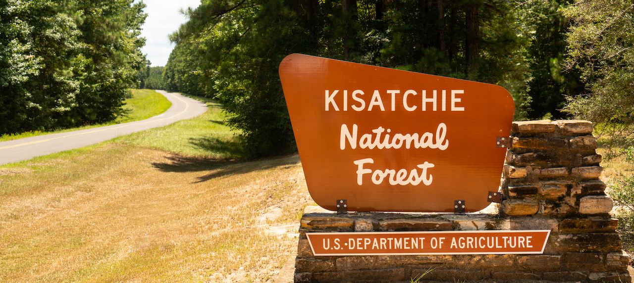 Two lane road passes entrance sign to Kisatchie National Forest