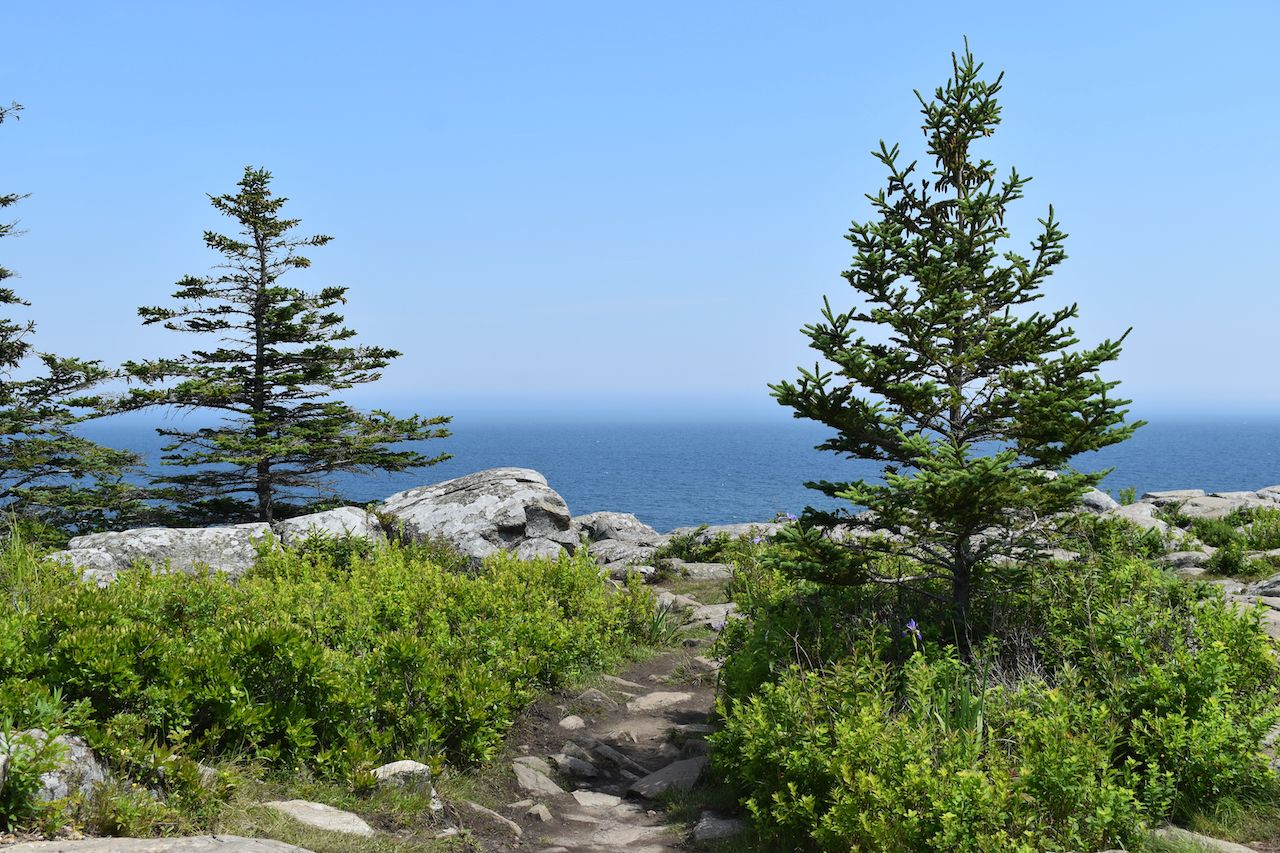Great Head Trail in Acadia National Park
