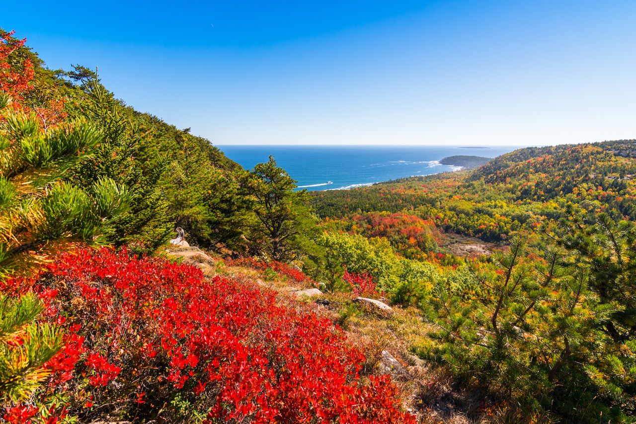 Best Fall Foliage Bus Tours in New England and New York