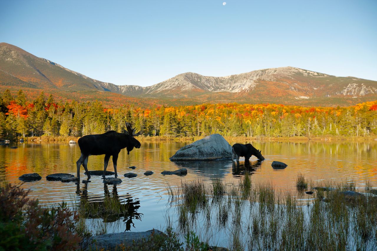 the-most-beautiful-and-empty-state-parks-in-new-england