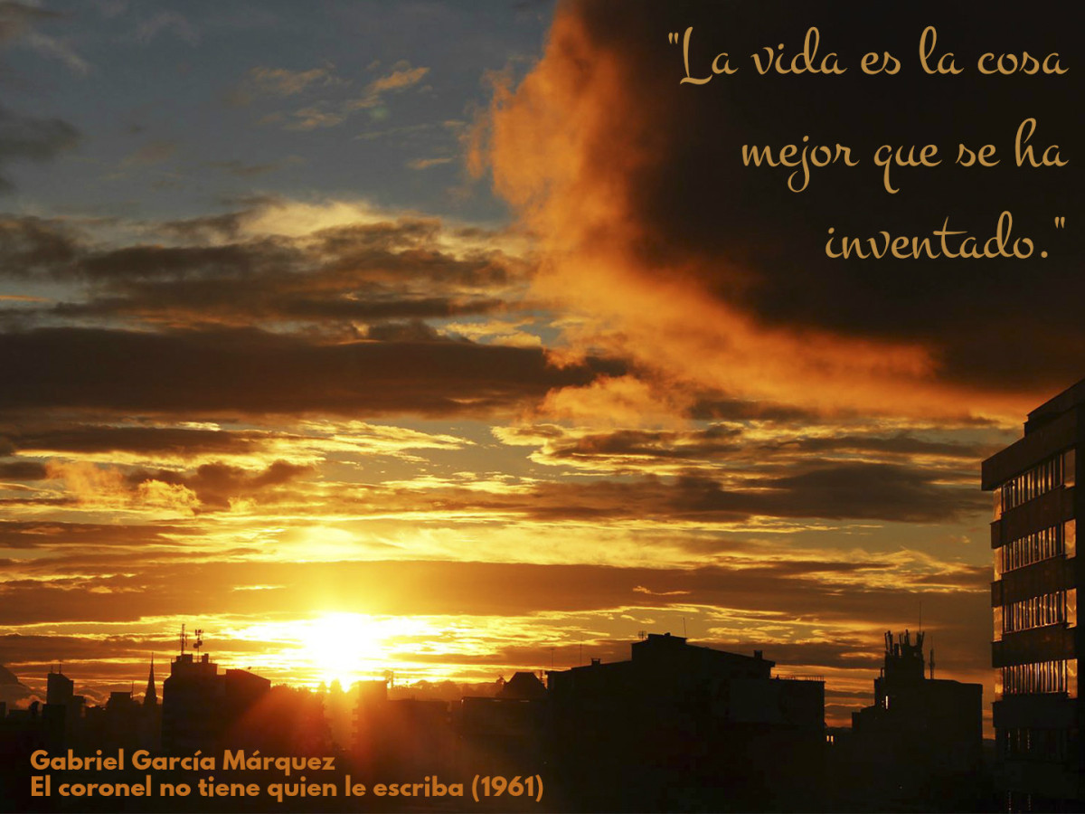 11 frases de Gabriel García Marquez para disfrutar junto a los