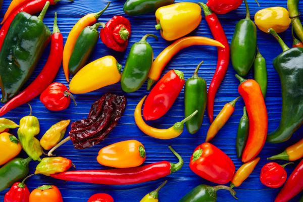 primer salsaton chiles más usados en la cocina mexicana