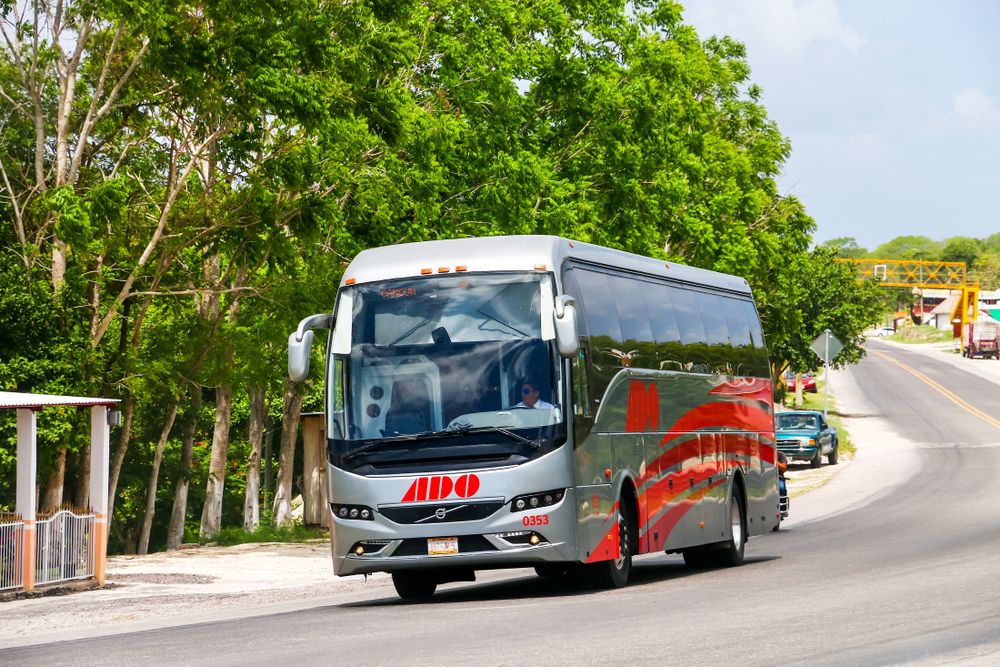 Bus Mexico