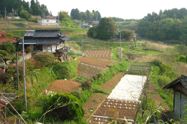 Learning experiences: Organic farming in Japan - Matador Network