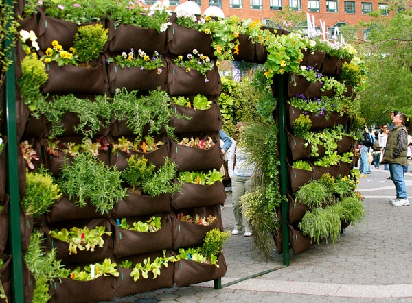 Urban Gardening For Beginners