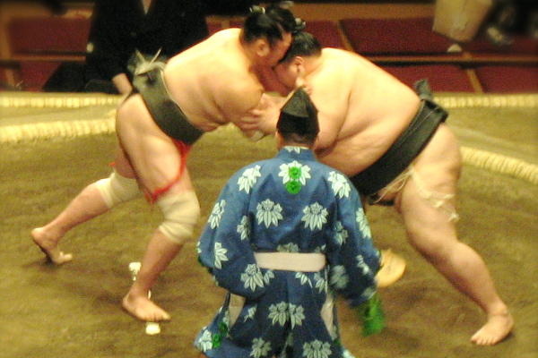 10 Things To Know Before Becoming A Sumo Wrestler Matador Network