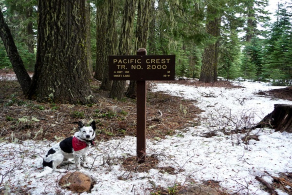 pacific crest bicycle trail